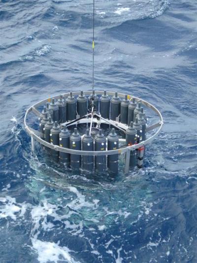 New perspective on phytoplankton
