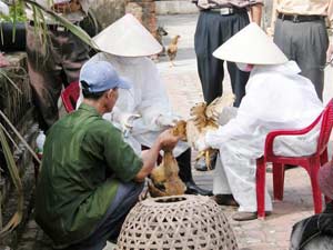 New prospects against avian influenza pandemic