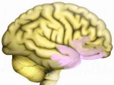 New prospects for anti-Alzheimer's drugs