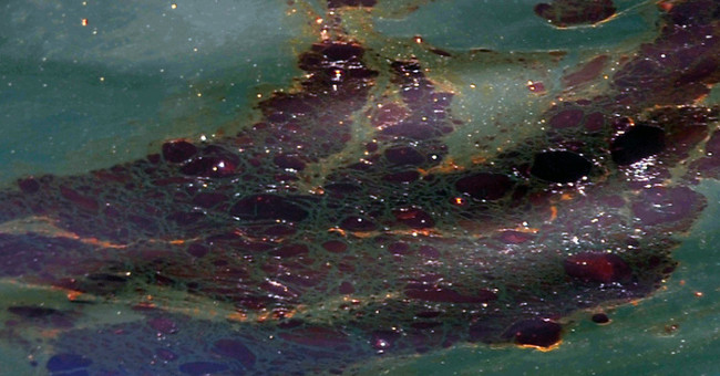 New research shows that oil and water can be combined