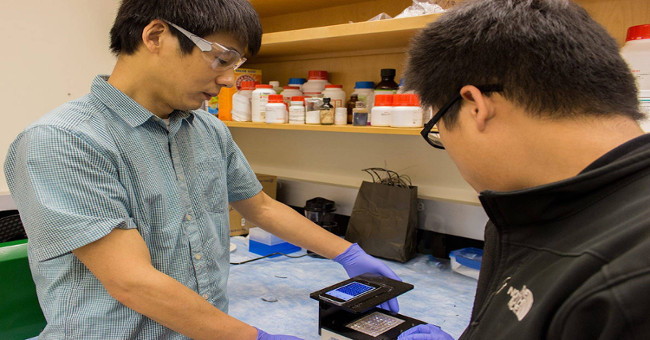 New research turns smartphones into virus and infection testing devices
