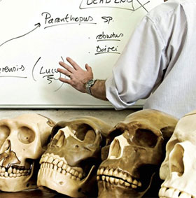 New shocking disclosure of human ancestors