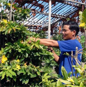 New solutions bring joy to flower growers