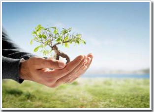 New step of artificial photosynthesis