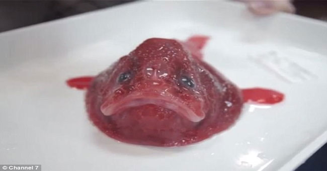 New strange creatures are found on the deep ocean floor