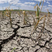 New synthetic resins help make the soil more fertile