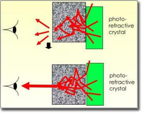 New techniques for tissue become transparent