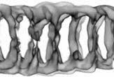New techniques have seen fossils unprecedented