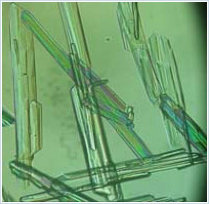 New technology benefits pharmaceutical corporations