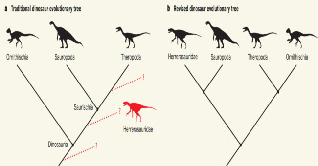 New theory reverses the truth about dinosaurs