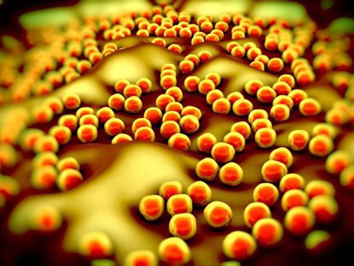 'New weapon' against antimicrobial from synthetic sugar
