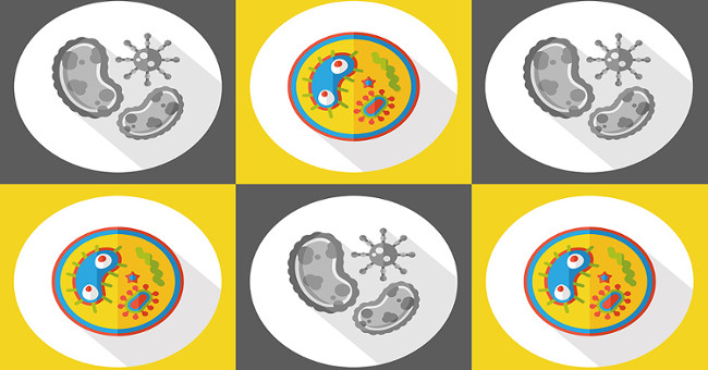 New weapons help kill drug-resistant bacteria