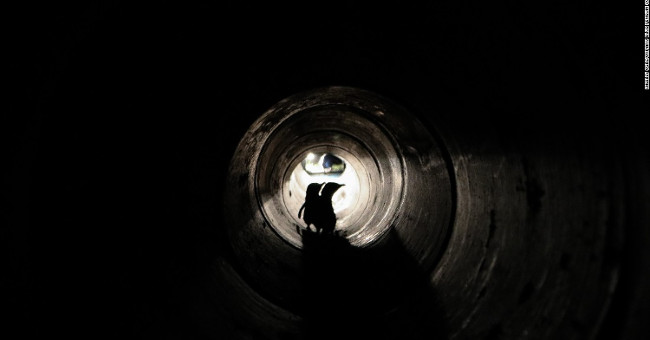 New Zealand built a tunnel for penguins