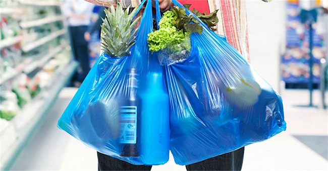 New Zealand prohibits the use of disposable plastic bags