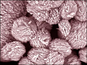 New zeolite turns crude oil into gasoline