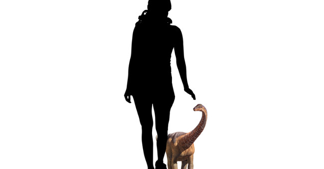 Newborn dinosaurs are only about one-third the size of a human being but have a very fast speed