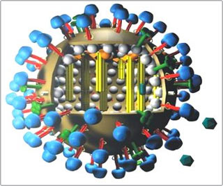 Newly developed flu vaccine