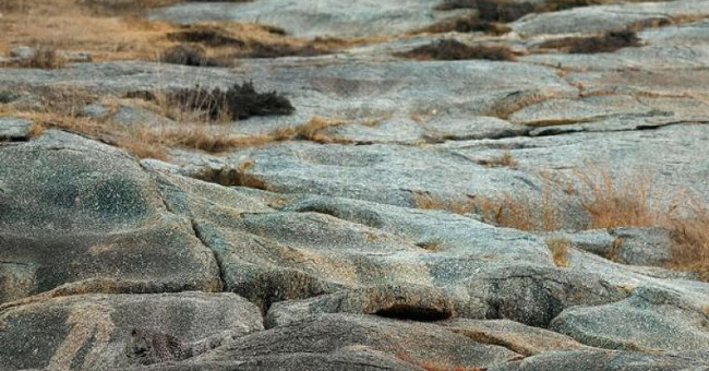 Newspaper invisibility on stone beach
