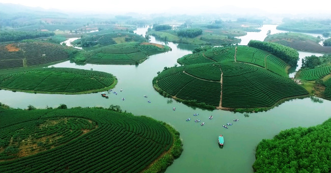 Nghe island tea island looks from above