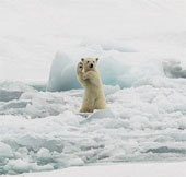 Nice photos of National Geographic Photo Contest 2014