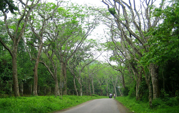 Ninh Binh built a national wildlife park