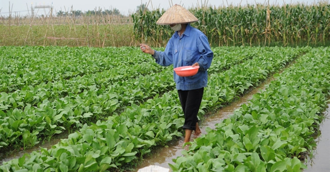 Nitrate - Danger of fertilizer abuse