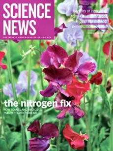 Nitrogen fixation: relationship between plants and bacteria (Part 1)