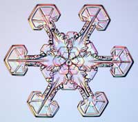 No two snowflakes are the same