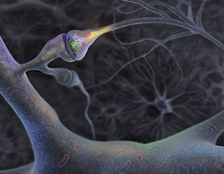 No2 Internet stands for science and technology news