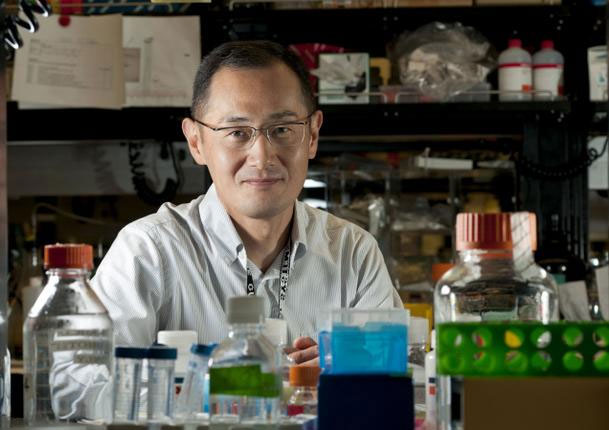 Nobel Medicine 2012 'paved the way' for incurable diseases