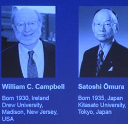 Nobel Prize for Medicine 2015 for researchers against parasites