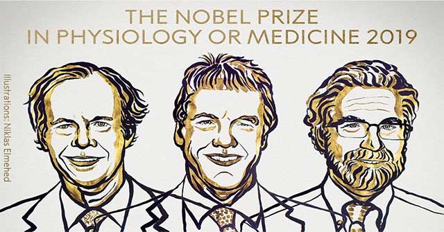 Nobel Prize in Biomedical 2019 for studying cell response when oxygen changes