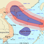 Noon, the 7th storm will enter the East Sea