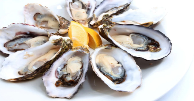 Norovirus in live oysters causes disease in North Americans