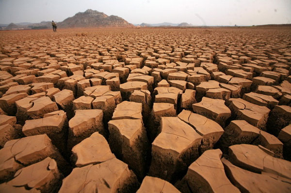 North Korea suffered the most severe drought in the past five decades