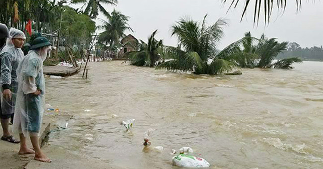 Northern cold, from Quang Tri to Khanh Hoa, there is a great risk of flood