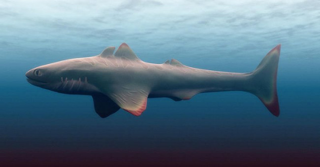 Not Megalodon, this is the first person to