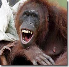 Not only do people laugh