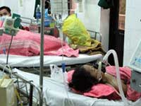 Not yet confirmed two deaths in Quang Binh due to bird flu