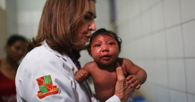 Not Zika but Monsanto's chemicals cause brain atrophy?