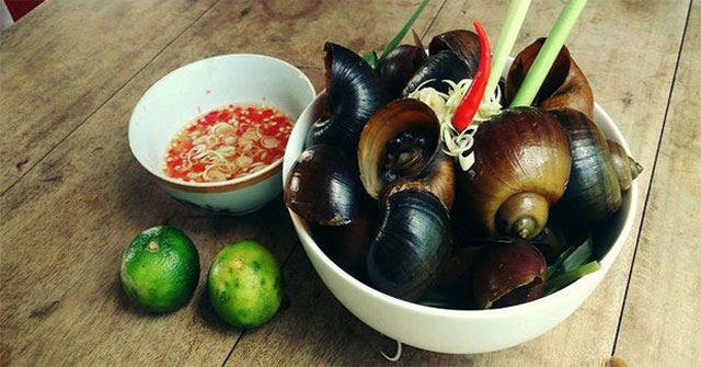 Note when eating snails to avoid processions into the body