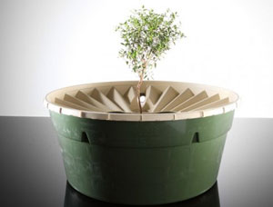 Nourishing plants without watering