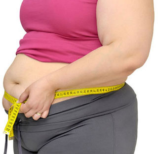 Obesity from the brain