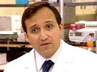 Obesity virus