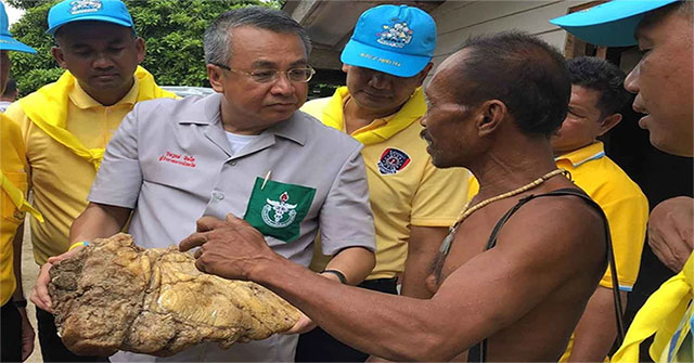 Objects suspected mass ambergris 6kg