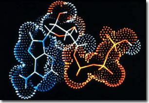 Observe complex pigment mixtures in living cells