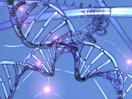 Observe the DNA repair process in real time