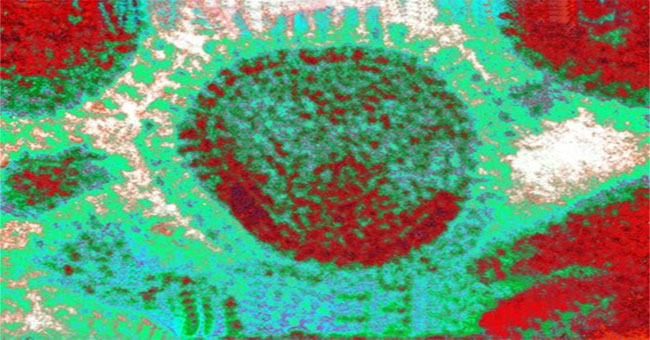 Observe the trick of attacking flu viruses
