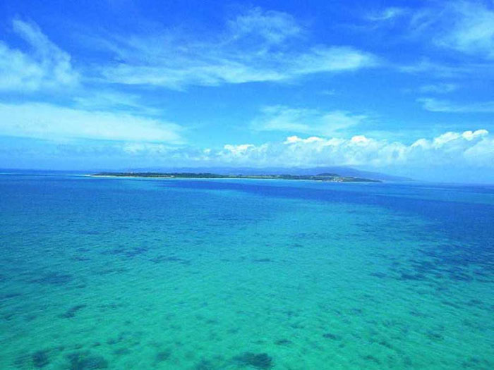 Ocean acid content will increase by 150% at 2100