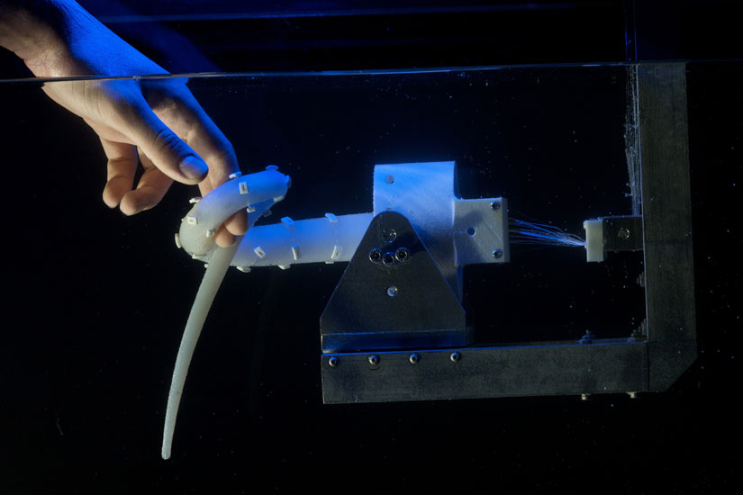 Octopus robot